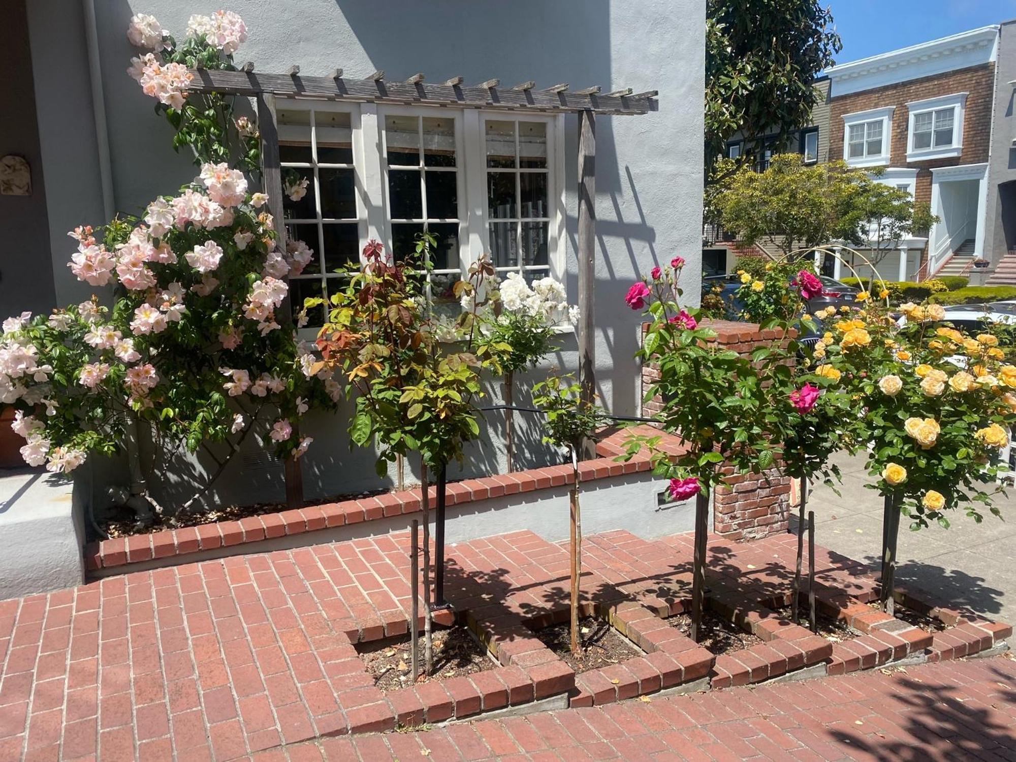 My Rosegarden Guest Rooms San Francisco Luaran gambar